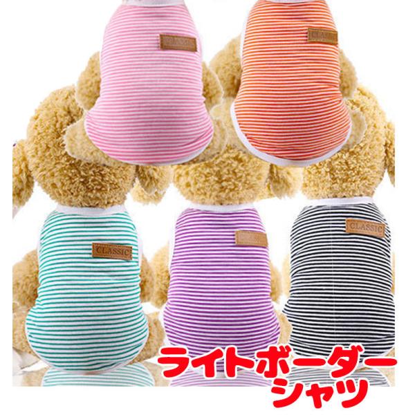 _񌎃Z[JÒ^  ̕ t āy\z Cg{[_[Vc ܂ |Cg ё΍ [΍