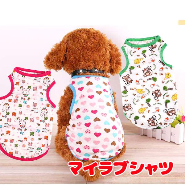 _񌎃Z[JÒ^  ̕ s\t t   }CuVc n[g  lR  T