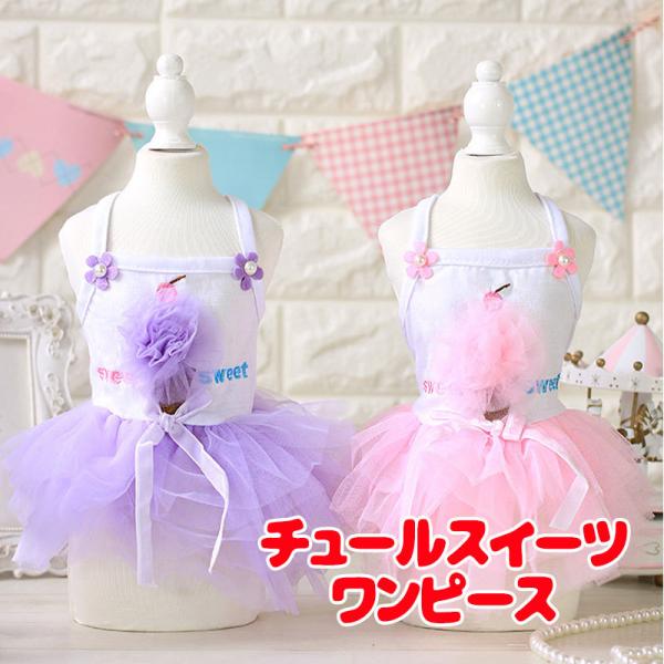 _SiP5{2423:59܂Ł^  ̕ t   `[XC[cs[X XC[c pXeJ[ {