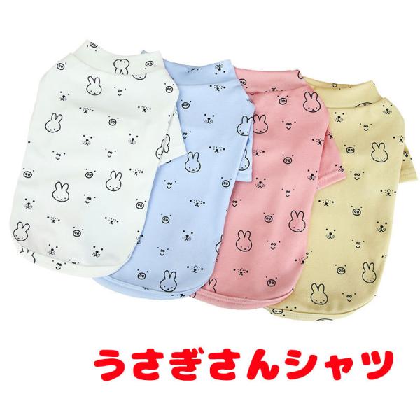 �_�ő�1000�~�I�t22��23:59�܂Ł^�� �� ���̕� �t �� �y������\�z����������V���c ���r�b�g������ ���ё΍� ��[�΍�