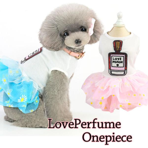 _SiP5{2423:59܂Ł^  ̕ t  upt[s[X ԕ `[ 