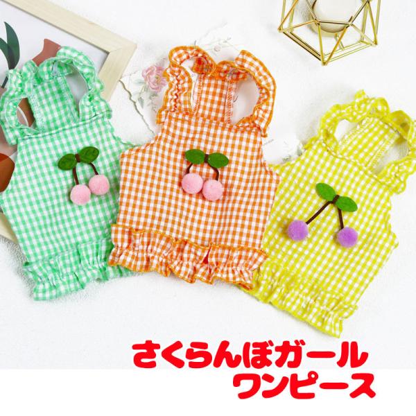 _ő1000~It3023:59܂Ł^  ̕ t  ڃK[s[X `F[ `[t `FbN t OJ