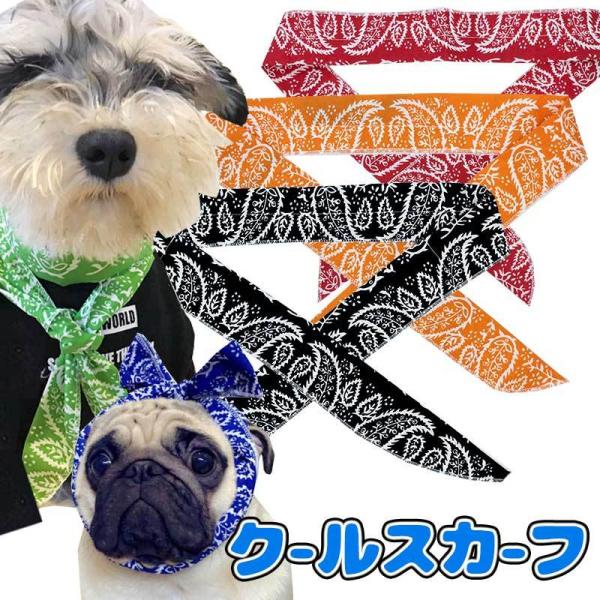 _SiP10{723:59܂Ł^̃XJ[t N[XJ[t Ђ ₽ ⊴XJ[t lbNXJ[t pWF yCY[