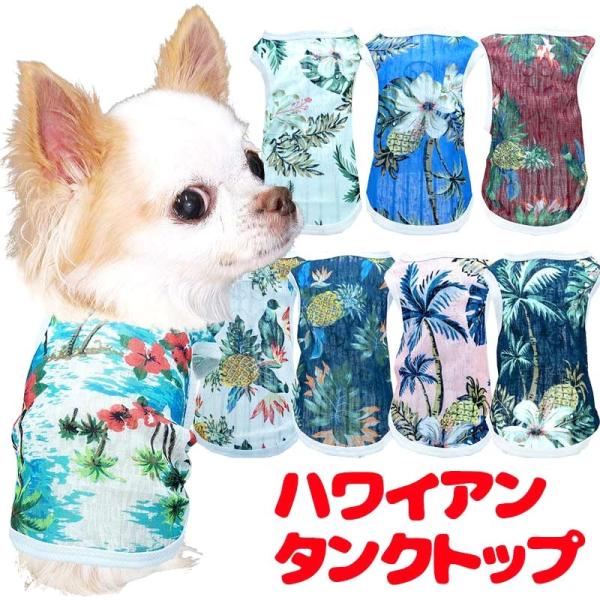   ̕ t ĕp nCA^Ngbvs\t V[X[