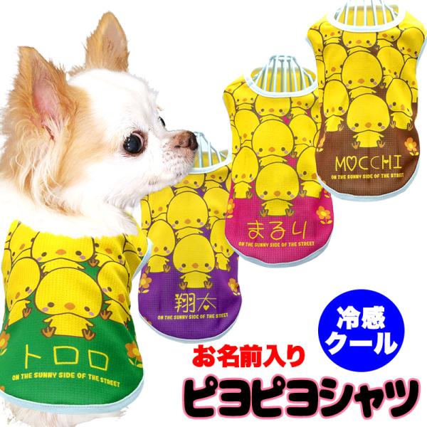 _ő1000~It3023:59܂Ł^  ̕  t ĕp O ssVc (SG/BW) Ђ悱 킢 Jt