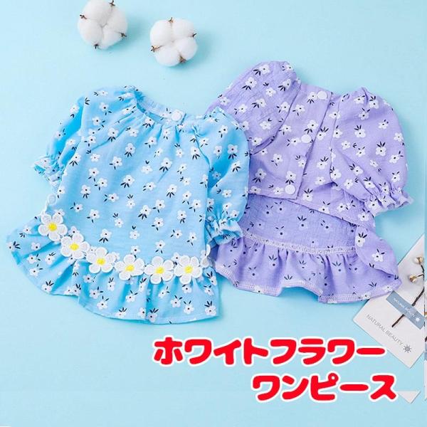 _ő1000~It3023:59܂Ł^  ̕ t ĕp zCgt[s[X OJ t ԕ 킢 ̎q XJ[g