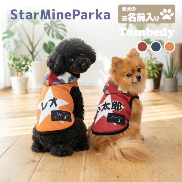 tambedy_202410-onamae-starminep