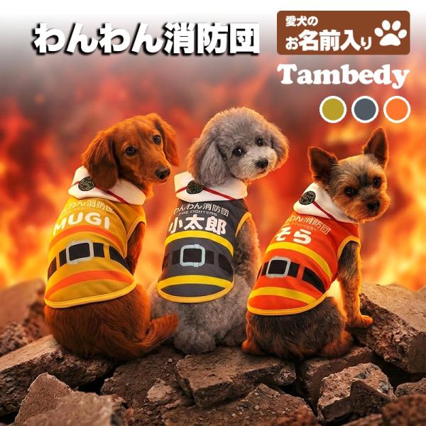 Tambedy（タムベディ） ＼2026年新春激得SALE／犬 服 犬の服 秋服 冬