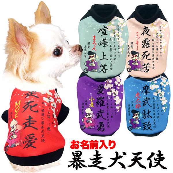 tambedy_202412-onamae-bousou