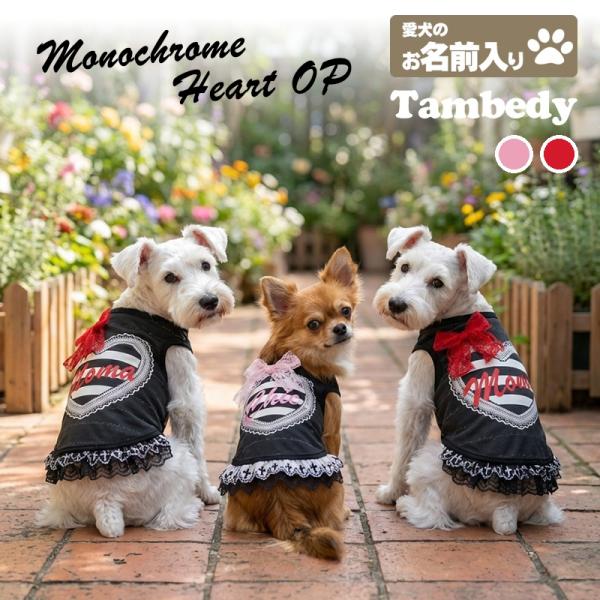 Tambedy（タムベディ） ＼お得なSALE開催中／犬 服 犬の服 秋服 冬服用