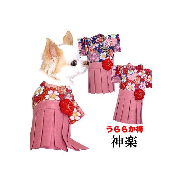 犬 袴 犬着物の価格と最安値 おすすめ通販を激安で
