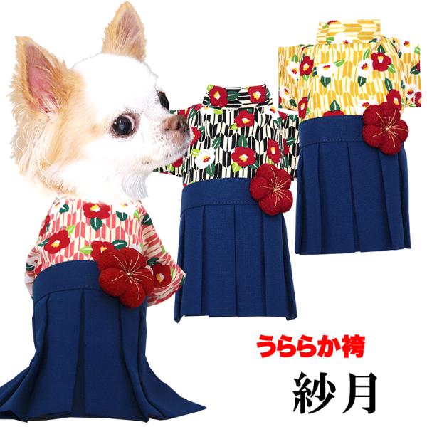 最大1000円オフ30日23:59まで／犬 服 犬の服 秋服 冬服用 うららか袴
