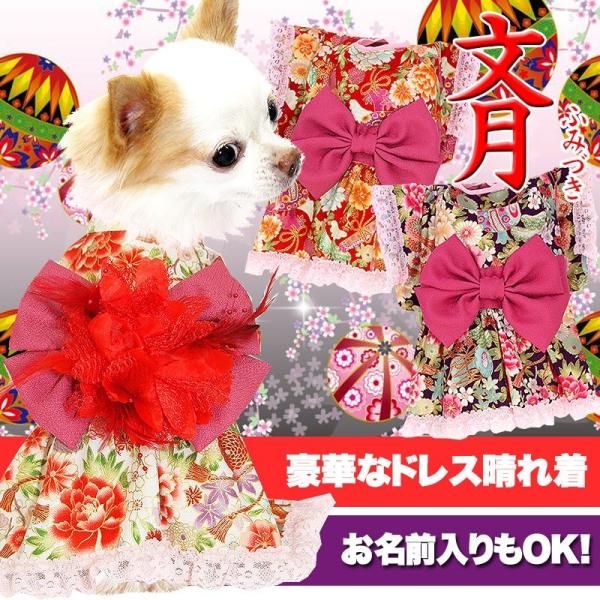 犬 着物 ダックスの通販口コミおすすめランキング ペット ペットグッズ ツカエル 商品検索