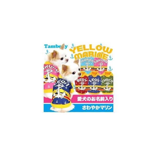 _SiP5{2423:59܂Ł^   H~ CJ ybg  gCv[h `  O CG[} Vc 3D