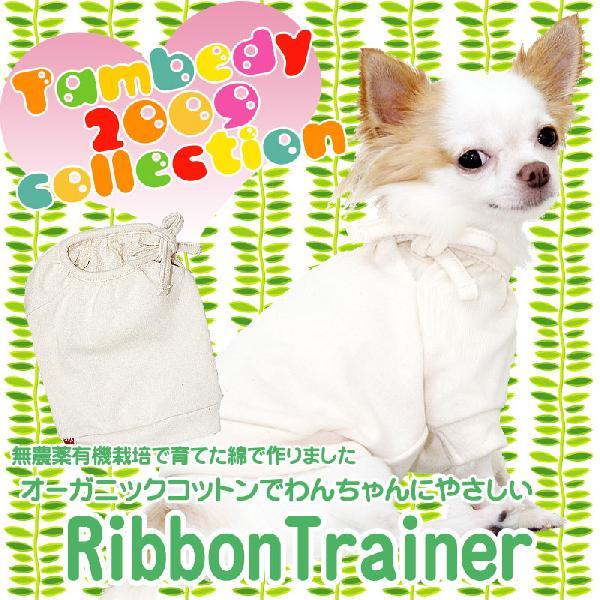 _SiP5{2423:59܂Ł^   ybg  _L@͔|ňĂȂō I[KjbNRbg {g[i[