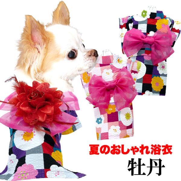 299円〜☆スーパーサマーSALE開催中/犬 服 犬の服 春 夏 《コサージュ別売》牡丹浴衣 ぼたんゆかた 夏祭り 花火大会 和装 前開き 花柄 カラフル :yukata2022-botan-y:タムベディ 通販 \爆安サマー★SALE開催中/《コサージュ別売》花菱浴衣 はなびしゆかた
