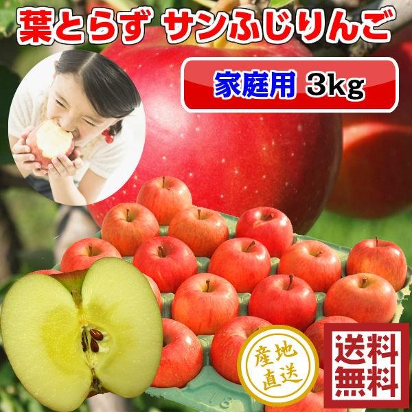 青研 青森りんご 産地直送 ふじ サンふじ りんご 葉とらず 3kg