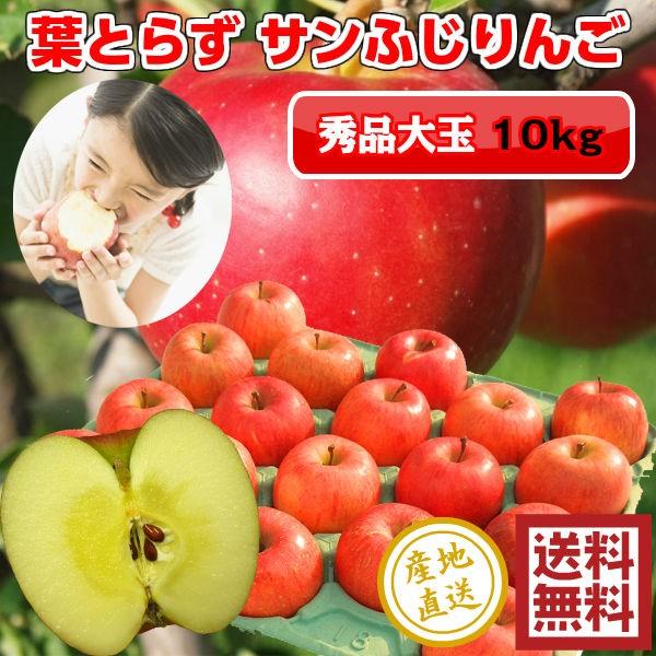 Tӂ  tƂ炸 10kg 32ʑO Gi pN Ε Ε