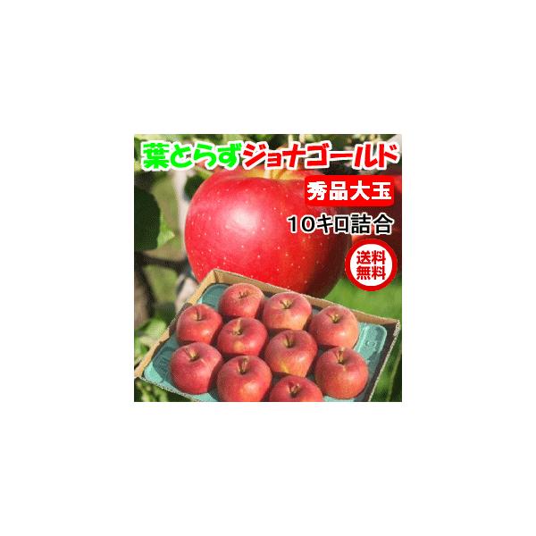 ߘa7NY tƂ炸 WiS[h 10kg 28-32ʑO Gi pN 