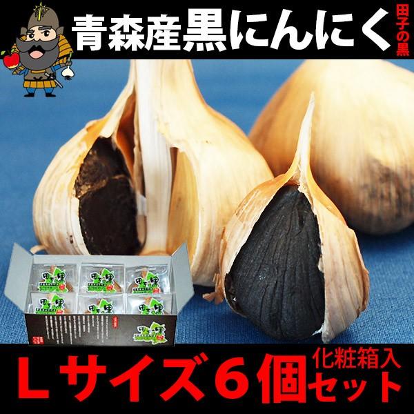 ɂɂ cq̍ LTCY 6ʃZbgϔ Ε ~Mtg 2025