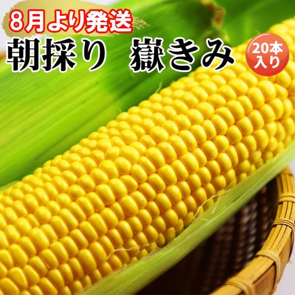 とうもろこし 嶽きみ お取り寄せ 甘い ギフト L〜2Lサイズ 20本入り 送料無料 青森県 だけきみ のし対応可