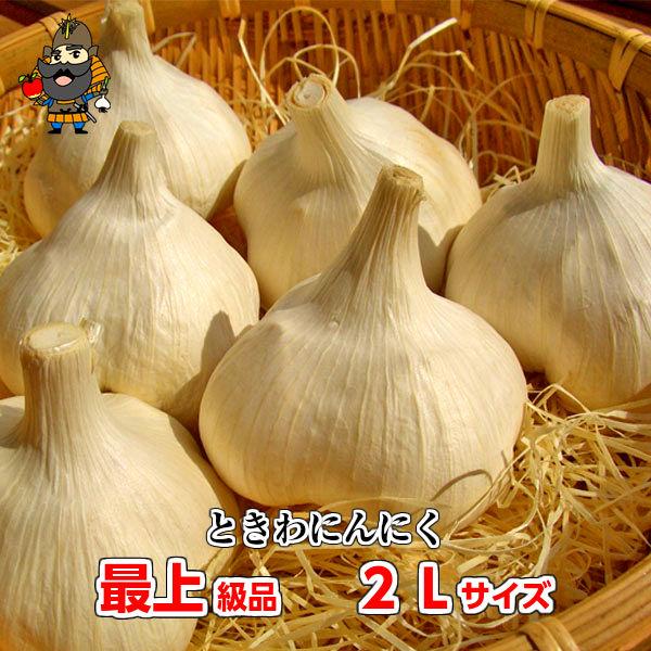 にんにく 青森県産 ときわにんにく 最上級品 2Lサイズ 1kg 9-12玉前後 
