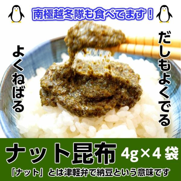 ibgz 4g×4ܓ b ɉz~ɂ̗pꂽHił 3ȏő  [z Ε ~Mtg 2025