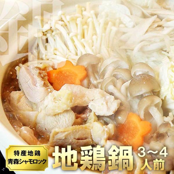 {  XVbN R{ n{Zbg bn{ R{ R{  Yn{ Ε ~Mtg 2025