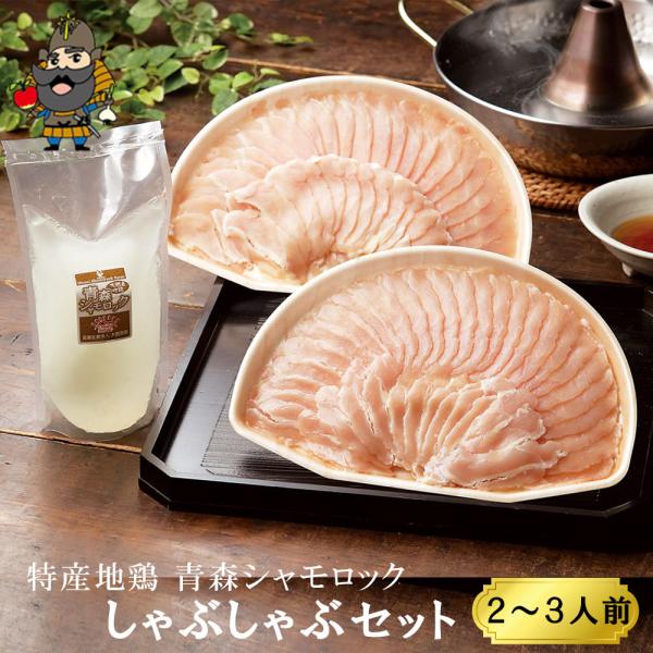 XVbN R{ ԂԃZbg 2-3lO bn{ R{  Yn{ Ε ~Mtg 2025