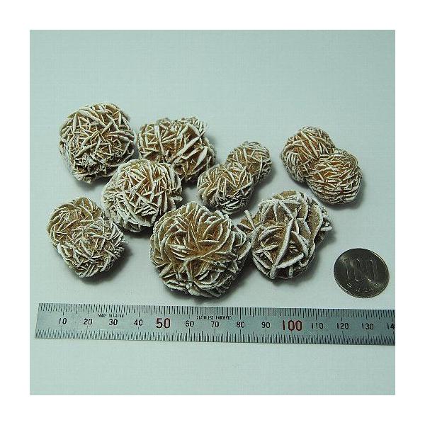 デザートローズ 約200g入り詰め合わせ、6-9個入り メキシコ産 zj054