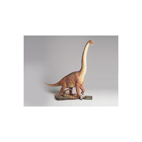タミヤ ブラキオサウルス 情景セット 完成品！ Amazon | タミヤ 1/35 恐竜世界シリーズ No.06 ブラキオサウルス