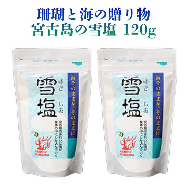 宮古島の雪塩 雪塩 120g ×2袋 パウダー 珊瑚と海の贈り物 まろやか 沖縄 塩 料理 調味料