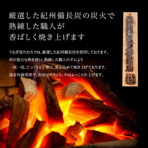 6 9人前 ギフト 国産うなぎ 蒲焼き 6尾 岐阜鰻たむろ極 贈り物 プレゼント 送料無料 母の日 父の日 お歳暮 丑の日 高級 Sagaretxe Net