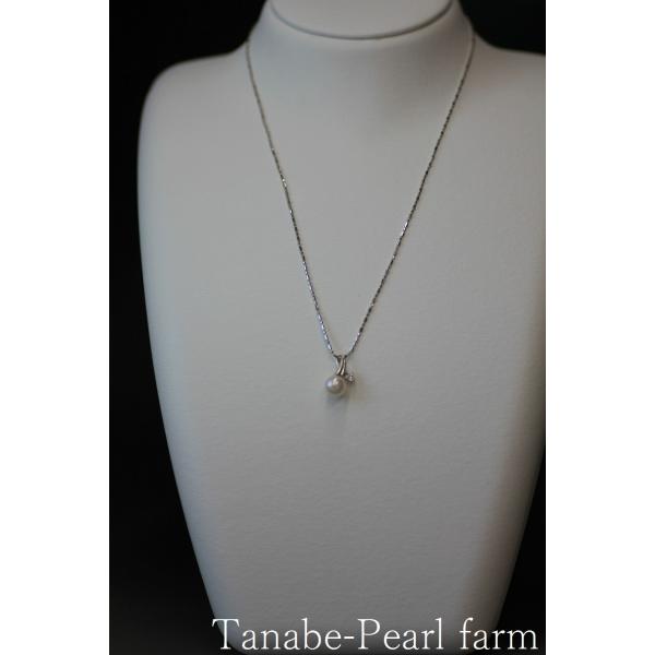 tanabe-pearlfarm_y069