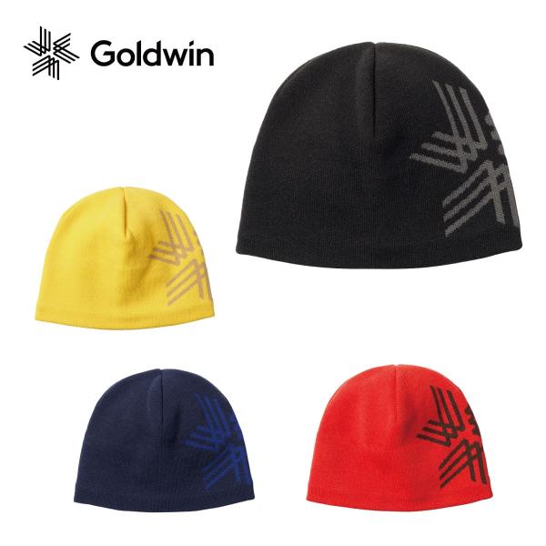 GOLDWIN（ゴールドウイン） 【5日限定！全品P10倍！】GOLDWIN スキー