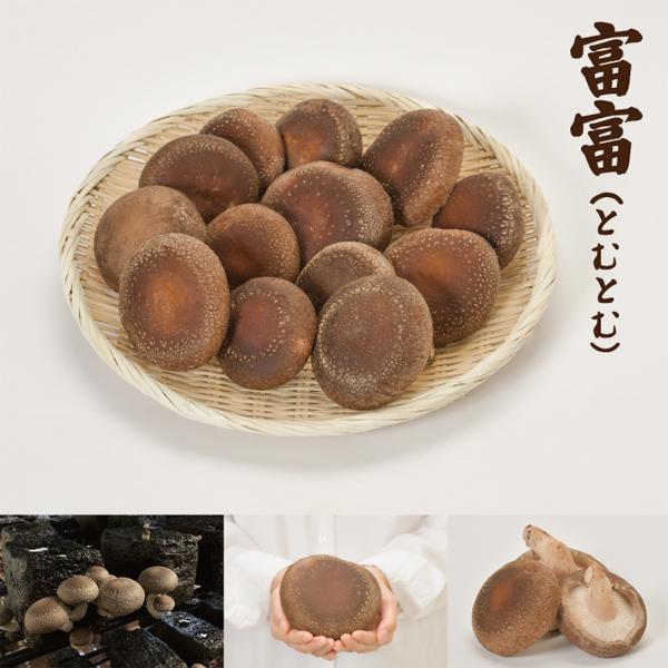 国産椎茸 700g！肉厚生しいたけ　数量限定100名様！森の富富(とむとむ)