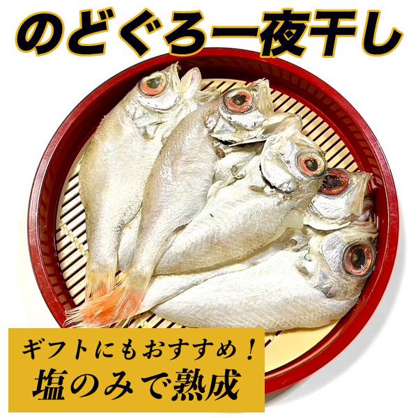 のどぐろ 干物 一夜干し 福岡で手作り 6尾 (1尾 50g - 70g 前後) のどくろ開き ノドグロ 赤むつ 赤ムツ アカムツ 白身 高級魚 明太子 おつまみ 焼き魚 魚 高級