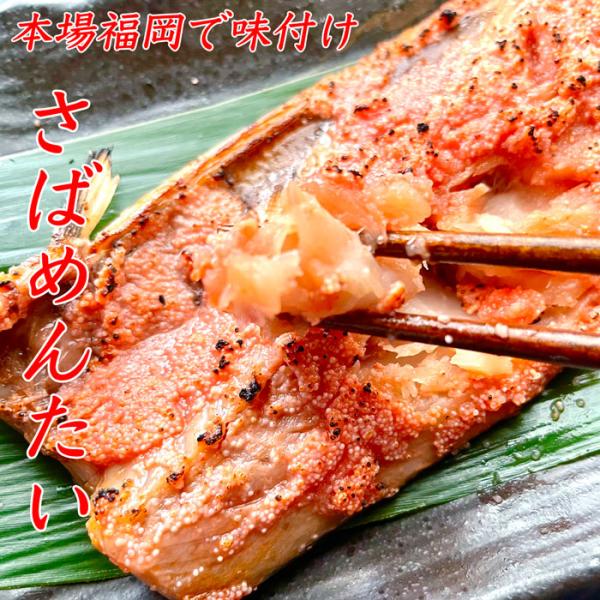 さばめんたい 5切 冷凍 鯖めんたい 御中元 父の日 魚介類  さば明太 明太子 さば 鯖 サバ 辛子明太子 おつまみ 焼き魚  魚 ギフト 高級 お歳暮 敬老の日