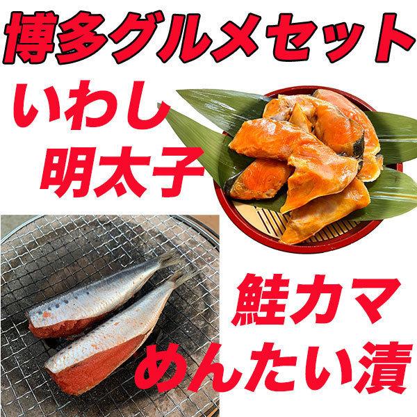 博多グルメセット 鮭カマめんたい漬 400g いわし明太子 4尾 鮭明太 銀鮭 真空パック 切り身 鮭かま 明太子 福岡 お土産 サーモン お歳暮 焼き魚