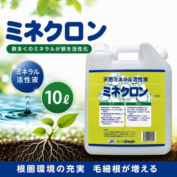 ミネクロン10Ｌ 天然ミネラル活性濃縮液 根の充実で毛細根が増える イチゴ活着・休眠対策 挿し苗の発根促進 定植時の発根促進