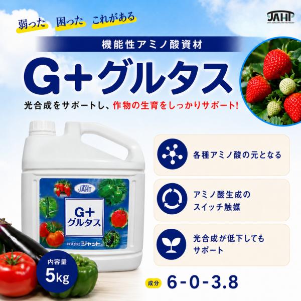 ジャットＧ+グルタス 液体 グルタミン・グルタミン酸配合機能性アミノ酸資材 「果菜類の旨味向上」「日照不足」「雌花の花粉増加」にグルタミン酸