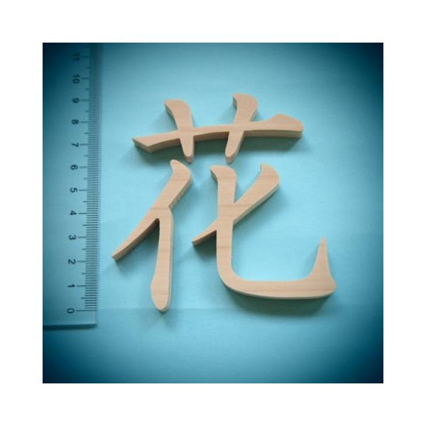 ؐؕ @w(Ђ̂)9cm̖؂̕