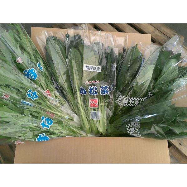 ●名称　九州産　ほうれん草・小松菜・水菜　葉物野菜　3品目　詰合せセット●産地名　九州各県産●内容量　ほうれん草、小松菜、水菜を各3束ずつの葉物野菜3品目詰合せ●規格・サイズ　ほうれん草、小松菜、水菜ともに、サイズは2L・L・Mのいずれか　...