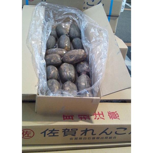 ●名称　れんこん　佐賀県産　1ケース　約4kg●産地名　佐賀県産●内容量　1ケース約4kg●規格・サイズ　サイズは2L・L・M・Sの中からいずれか　サイズ指定不可●保存方法　生鮮食品であるため、到着後はすぐに開封し、涼しいところまたは冷蔵庫...