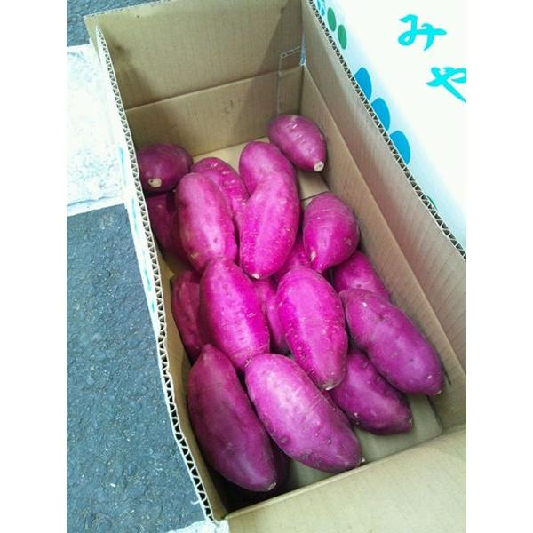 ●名称　さつまいも　宮崎県産・九州各県産　1ケース 約5kg●産地名　宮崎県産・九州各県産●内容量　1ケース約5kg●規格・サイズ　宮崎県産の「宮崎紅」などの高系の品種が中心　サイズは2L・L・M・Sの中からいずれか　サイズ指定不可●保存方...