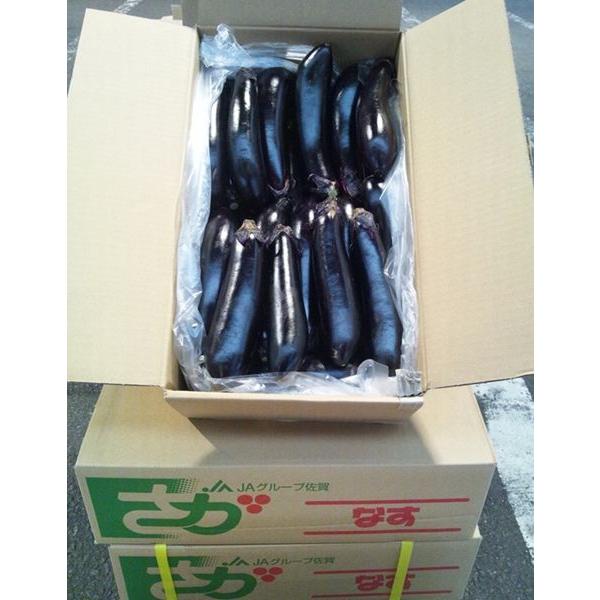 ●名称　なす　佐賀県産・九州各県産　1ケース約28本〜40本入●産地名　佐賀県産・九州各県産●内容量　1ケース約28本〜40本入　内容量は11月から5月のハウス栽培の時期は約4kg入、5月から10月の夏秋の時期には約5kg入●規格・サイズ　...