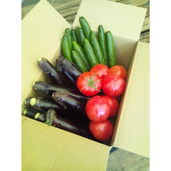 ●名称　佐賀県産・九州各県産　トマト・きゅうり・なす３品セット●産地名　佐賀県産・九州各県産●内容量　トマト約1.5ｋｇ、きゅうり約1.5kg、なす10本の3品目詰合せ●規格・サイズ　トマト・きゅうり・なす、いずれも2L・L・Mのいずれか　...