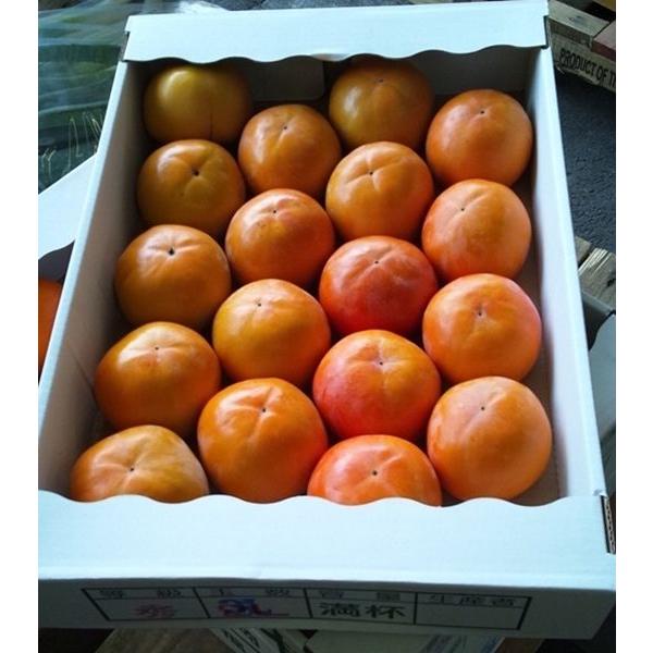 ●名称　富有柿・早生富有柿　福岡県・九州各県産　1ケース 約5kg●産地名　福岡県・九州各県産●内容量　1ケース約5kg●規格・サイズ　サイズは3L・2L・Lのうちのいずれか　サイズ指定不可　12月の後半からは真空パック処理された冷蔵柿にな...