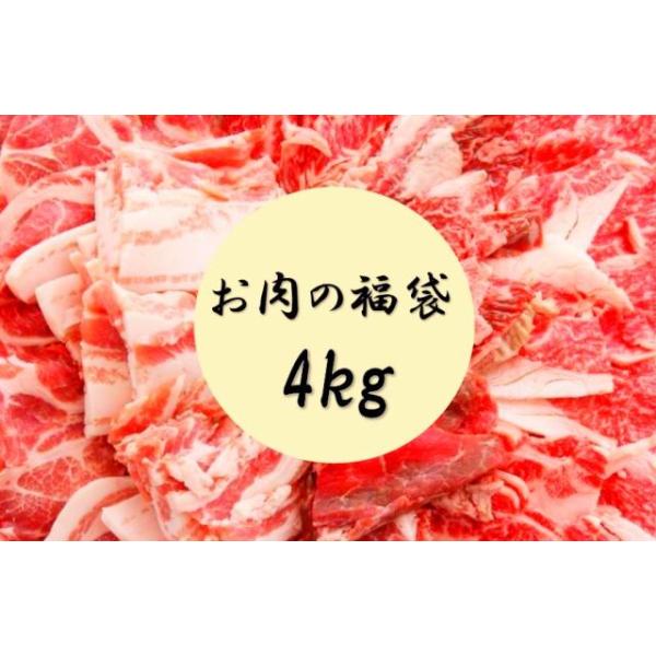 約4kgのメガ盛りお肉の福袋です。【商品内容】・輸入とりもも（から揚げサイズにカット済）　1.0kg・輸入豚バラスライス　1.0kg・輸入牛バラスライス　500g・合挽（牛5：豚5）　500g・ウインナー　500g・ベーコン　500g　　　...