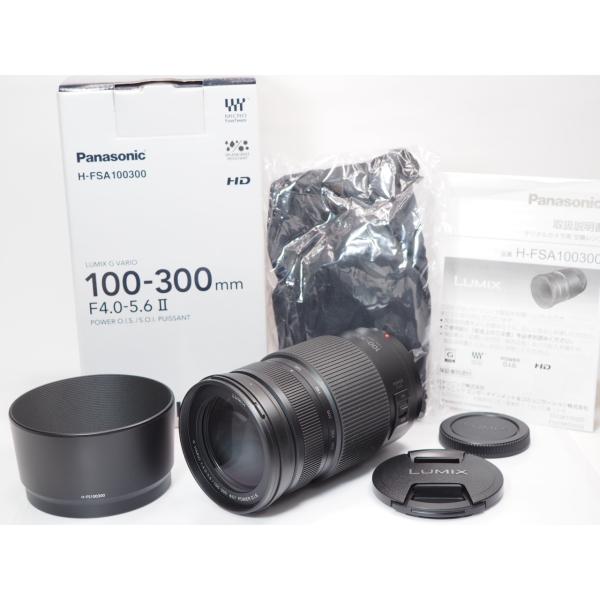 Panasonic（パナソニック） 【 極美品 】Panasonic LUMIX G VARIO 100